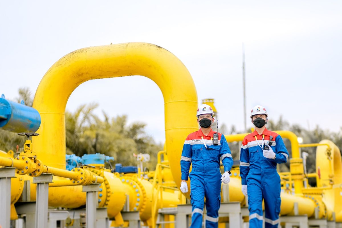 Cara Melamar Kerja di Pertamina bagi Fresh Graduate
